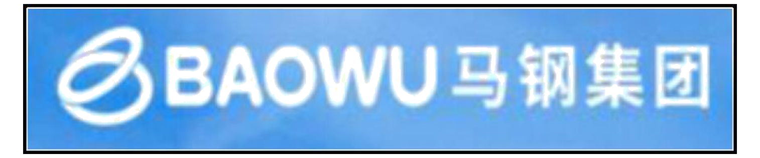 BAOWU Magang Group